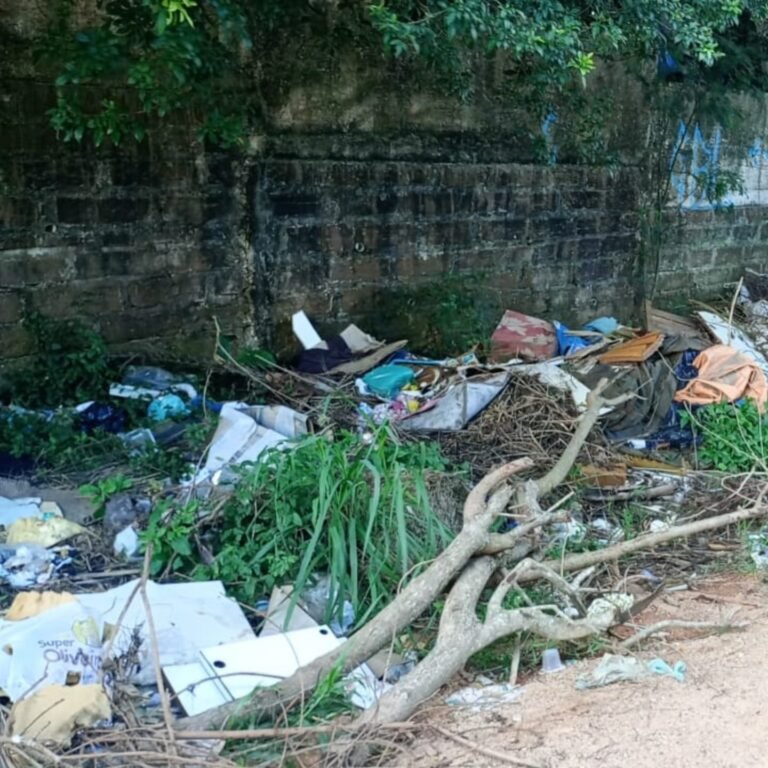 Acumulo de Lixo nas Ruas Caiçara e Capeli